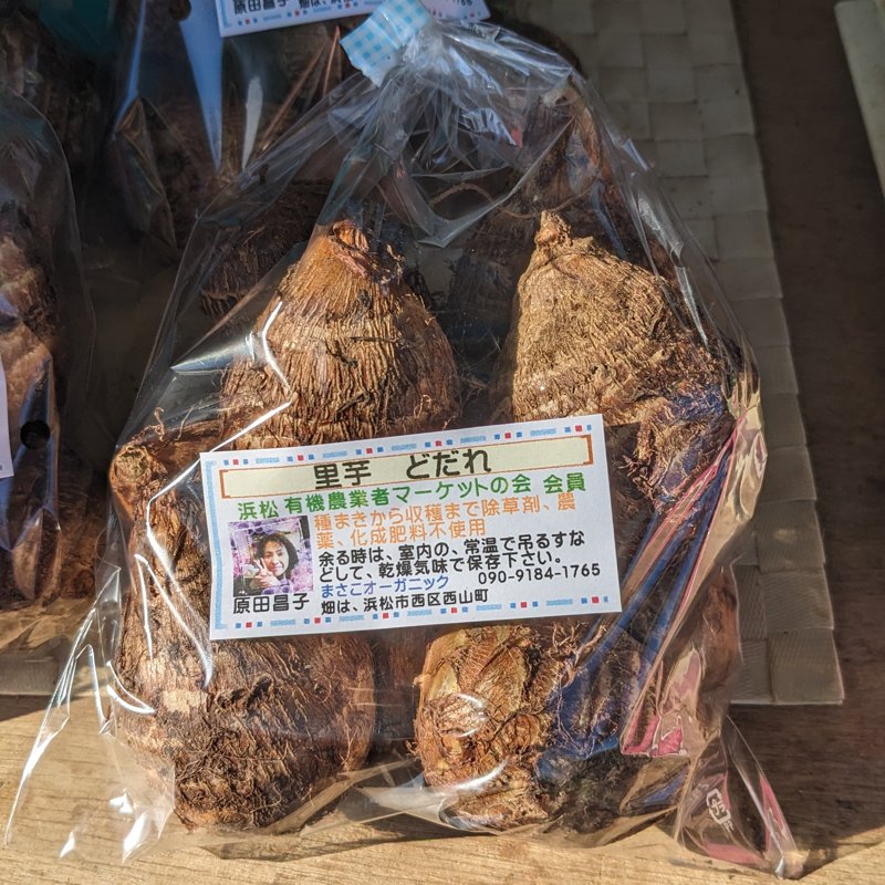 【農薬・化学肥料不使用】里芋 10kg やさいバス/農薬化成肥料不使用の里芋（栽培期間中）