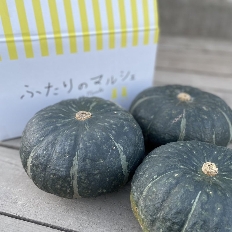 やさいバス/北海道江別産 かぼちゃ 恋するマロン 1玉