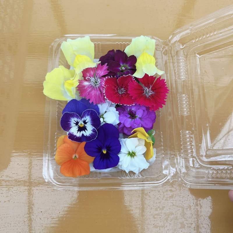 やさいバス/エディブルフラワー 詰め合わせセット アクアポニックス産