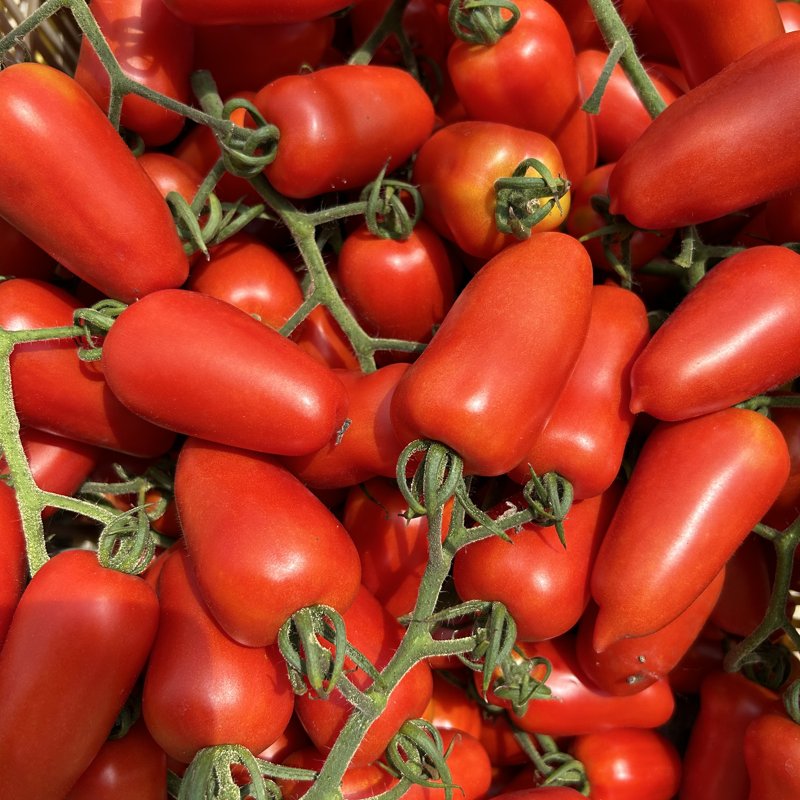 トマト やさいバス/サンマルツァーノ