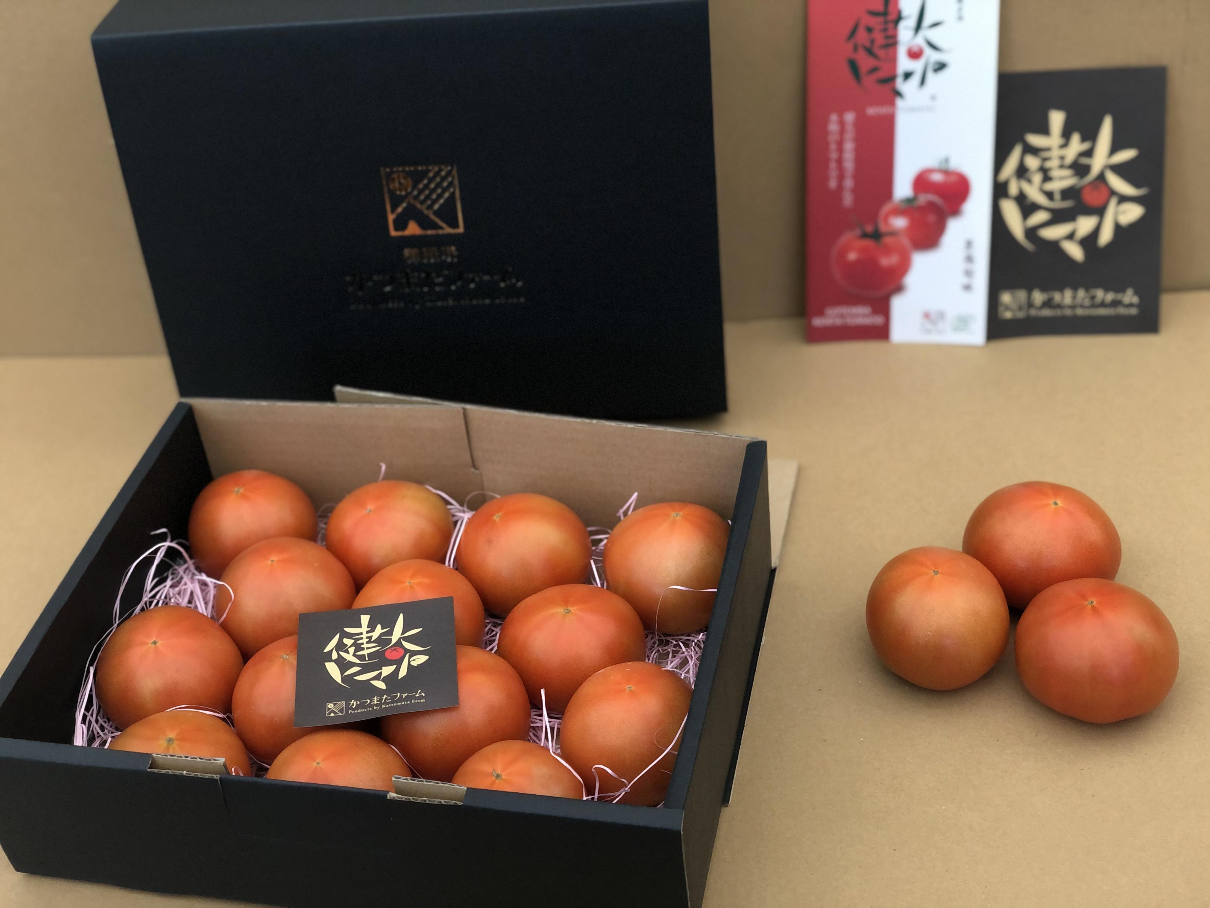 やさいバス/健太トマト コンテナ・バラ2kg 良業物（りょうわざもの
