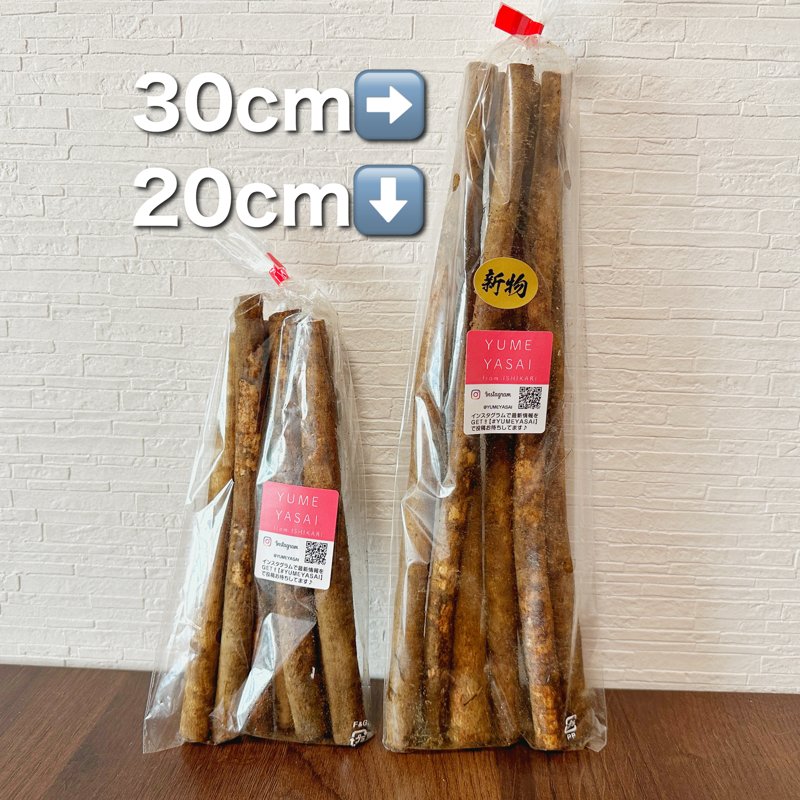 やさいバス/掘りたて柳川理想ごぼう（200g）カットサイズ20cm