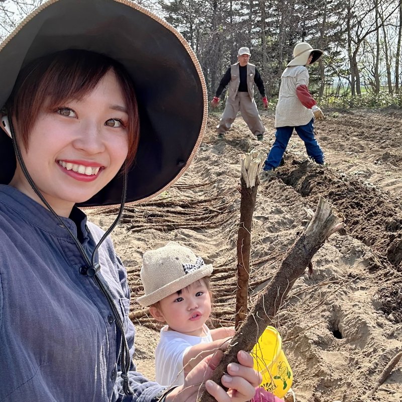 ごぼうカット品20キロ やさいバス/掘りたて柳川理想ごぼう（800g）カットサイズ20cm