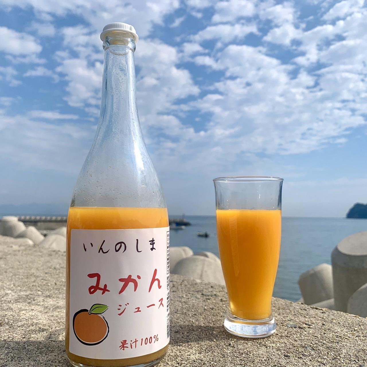 果汁 100％ みかん スパークリング ドリンク 250ml × 3本