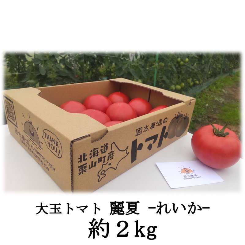 やさいバス/大玉トマト麗夏【約2kg 8～12玉】