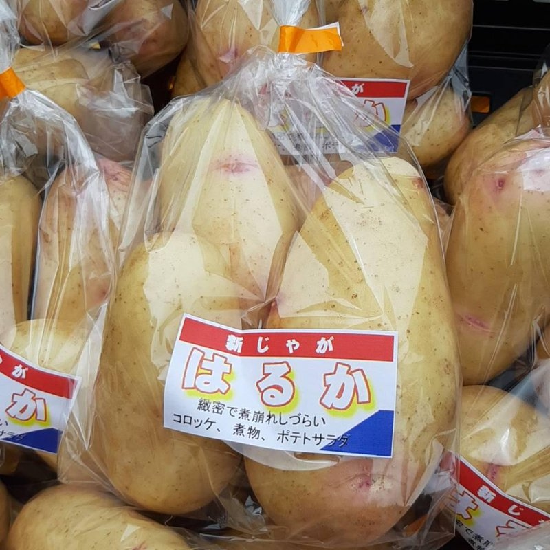 やさいバス/オールランダーじゃがいも はるか 500g