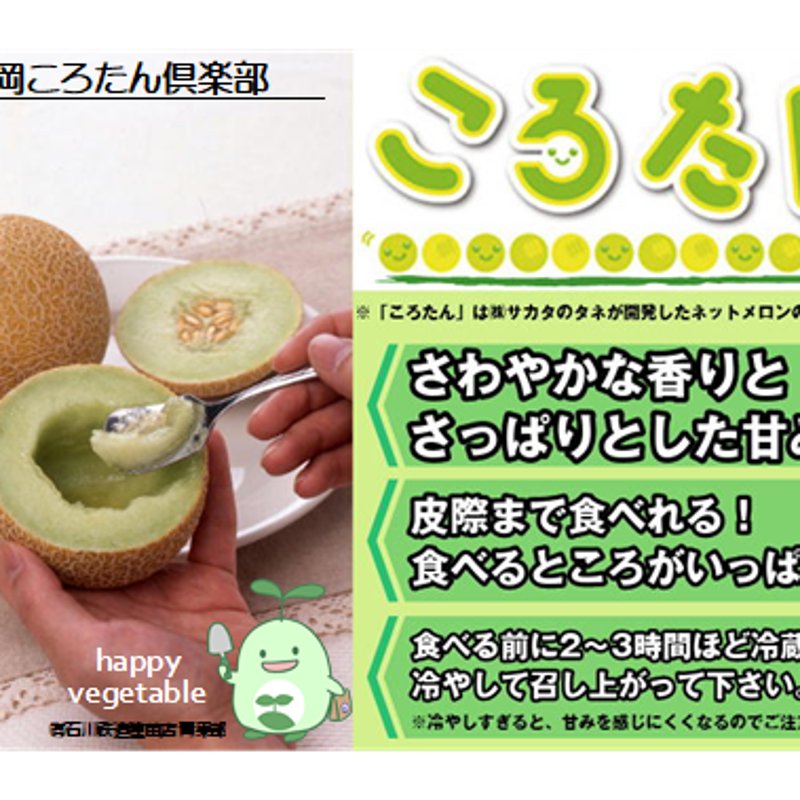 ころたん様専用 コロたん様専用 ころたん様専用です。 ころたん様