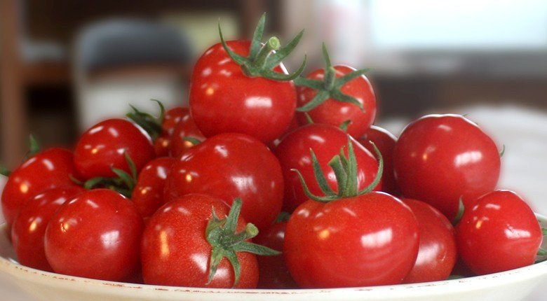 やさいバス/「プチルージュ」20パックセット（全国発送可）