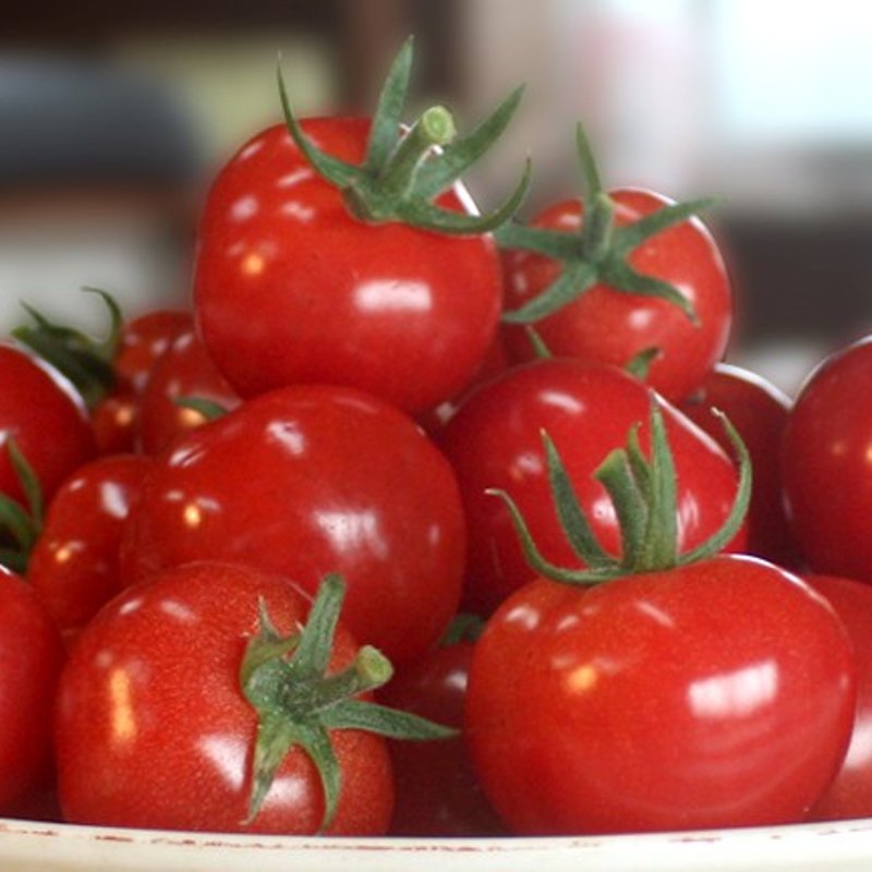 プッチトマト★ やさいバス/「プチルージュ」20パックセット（全国発送可）