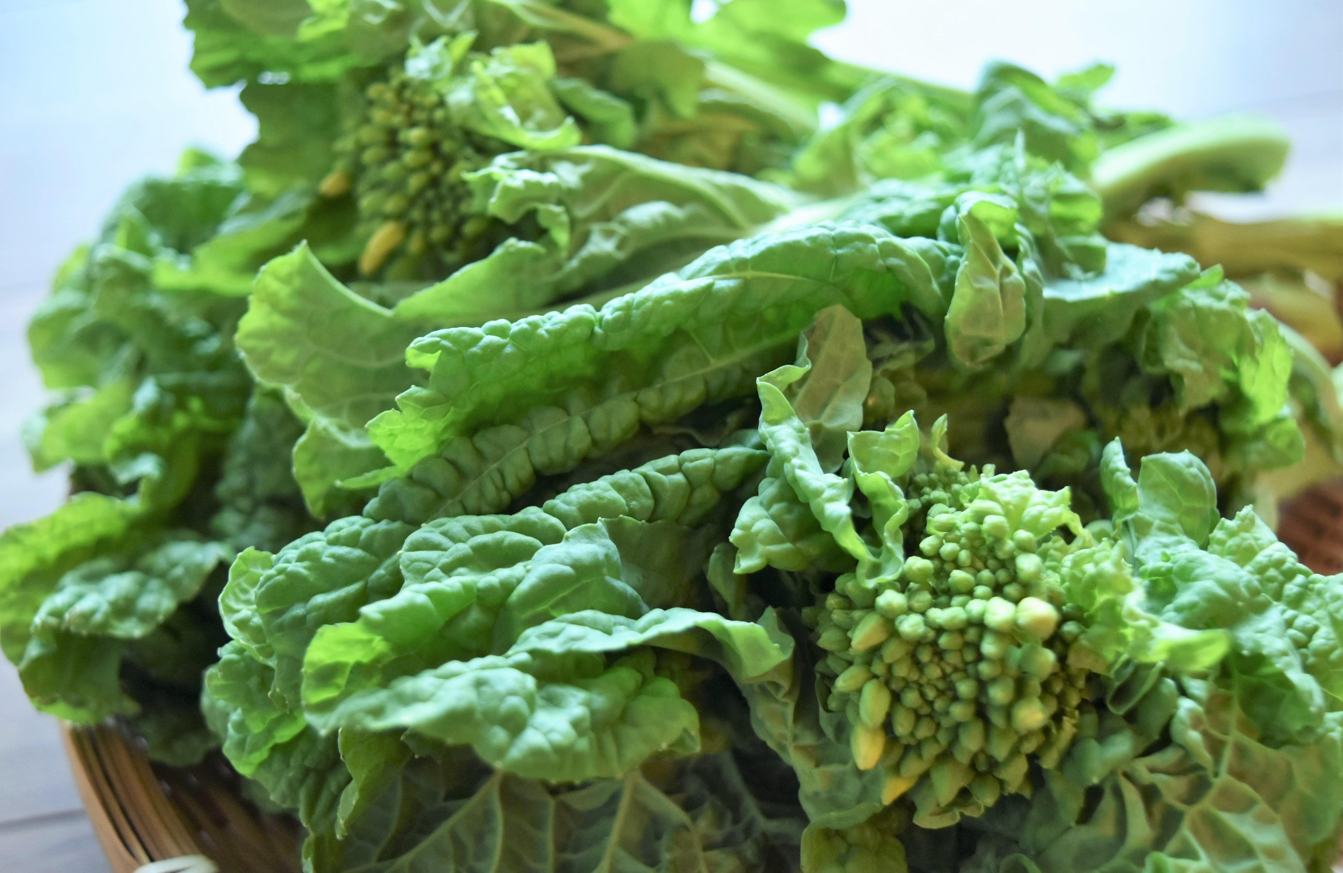 やさいバス/菜花（食用なばな）180g【リエビン市場・高橋農園】