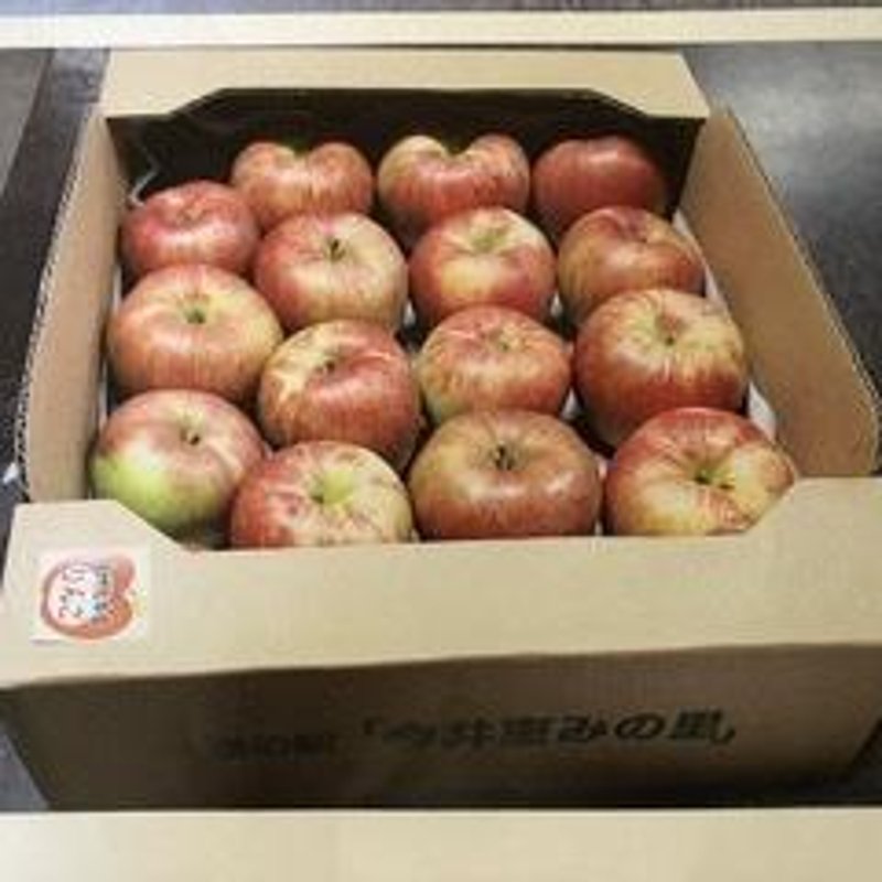 やさいバス/今井恵みの里のこだわりりんごシリーズ5kg(18～20個)【2箱