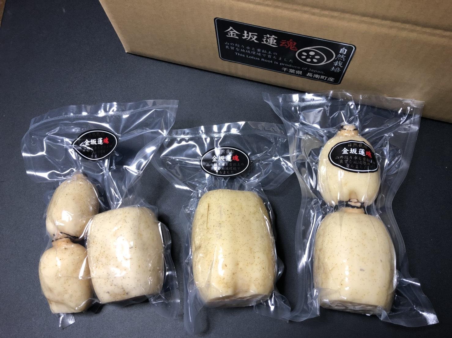 やさいバス/【自然栽培】レンコン真空パック(1袋 400～450g) 2月第4