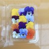 やさいバス/エディブルフラワー ビオラセット アクアポニックス産