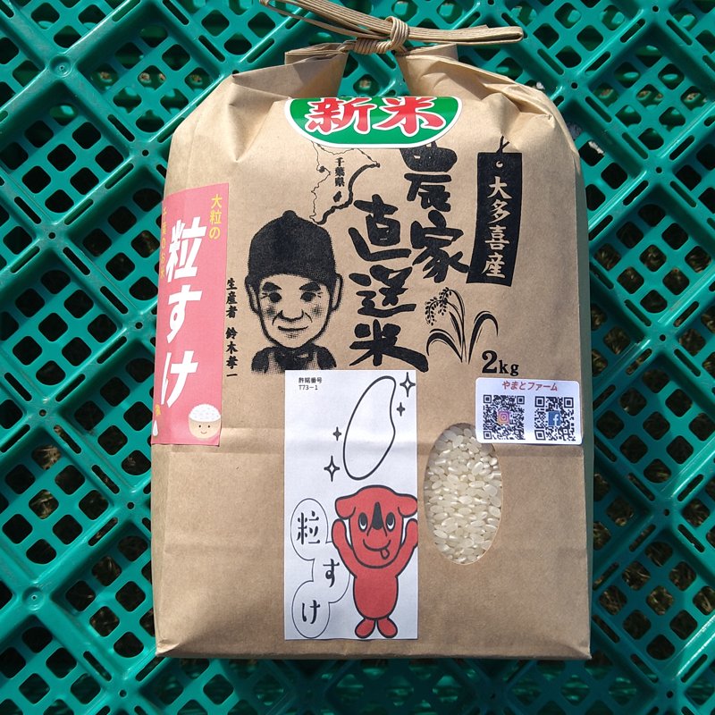 やさいバス/大多喜産 農家直送 粒すけ 2キロ