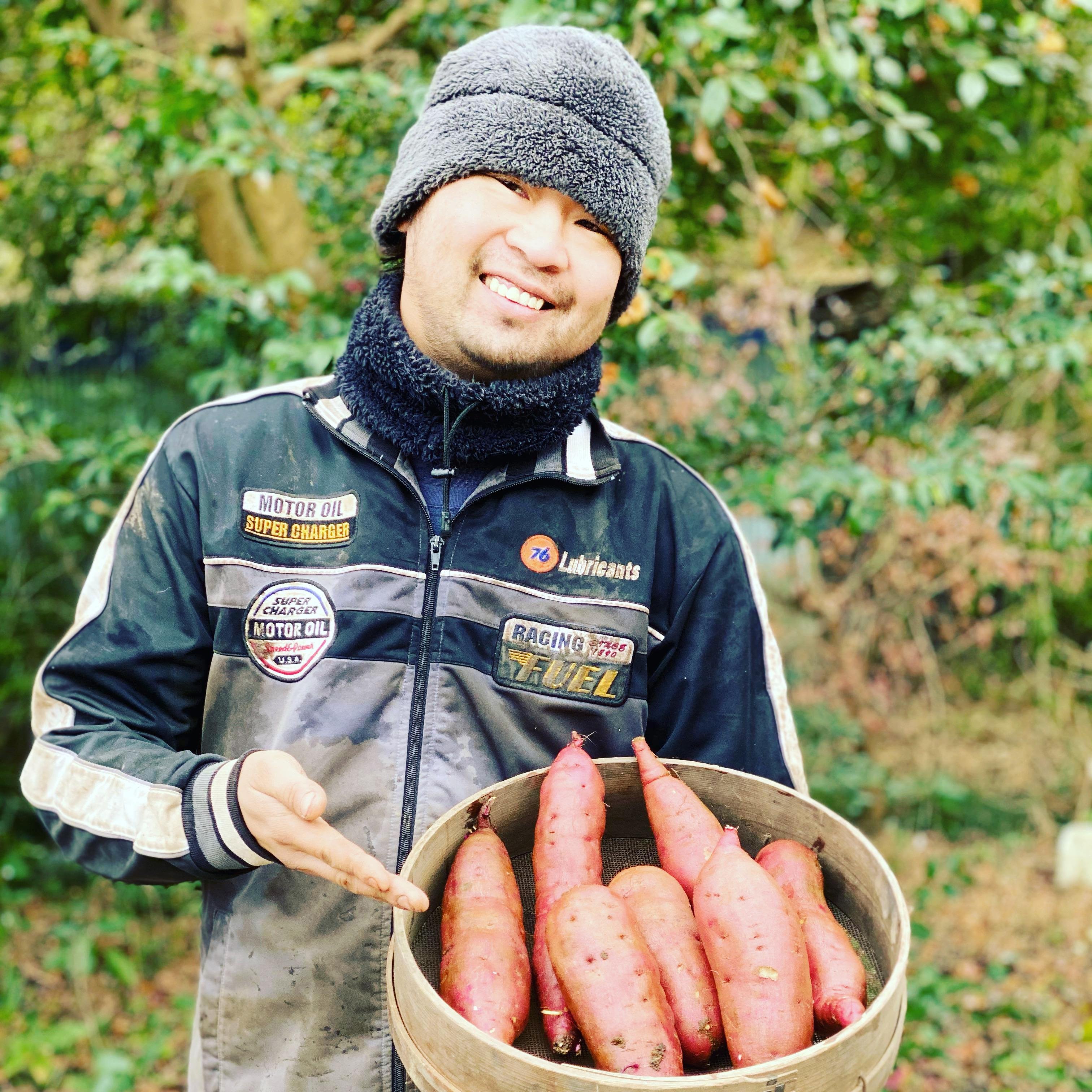 やさいバス/いのちの郷のさつまいも(紅はるか)10k キュアリング済み