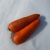 やさいバス/雪下にんじん（アロマレッド）400g/袋入り