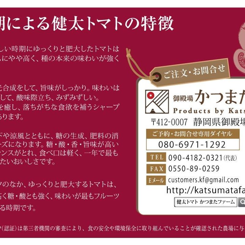 やさいバス/健太トマト（大玉トマト） 良業物（りょうわざもの） 糖度6〜7未満