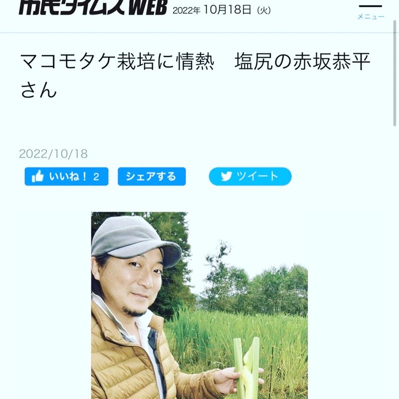 やさいバス/自然栽培のマコモダケ