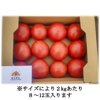 やさいバス/大玉トマト麗夏【約2kg 8～12玉】