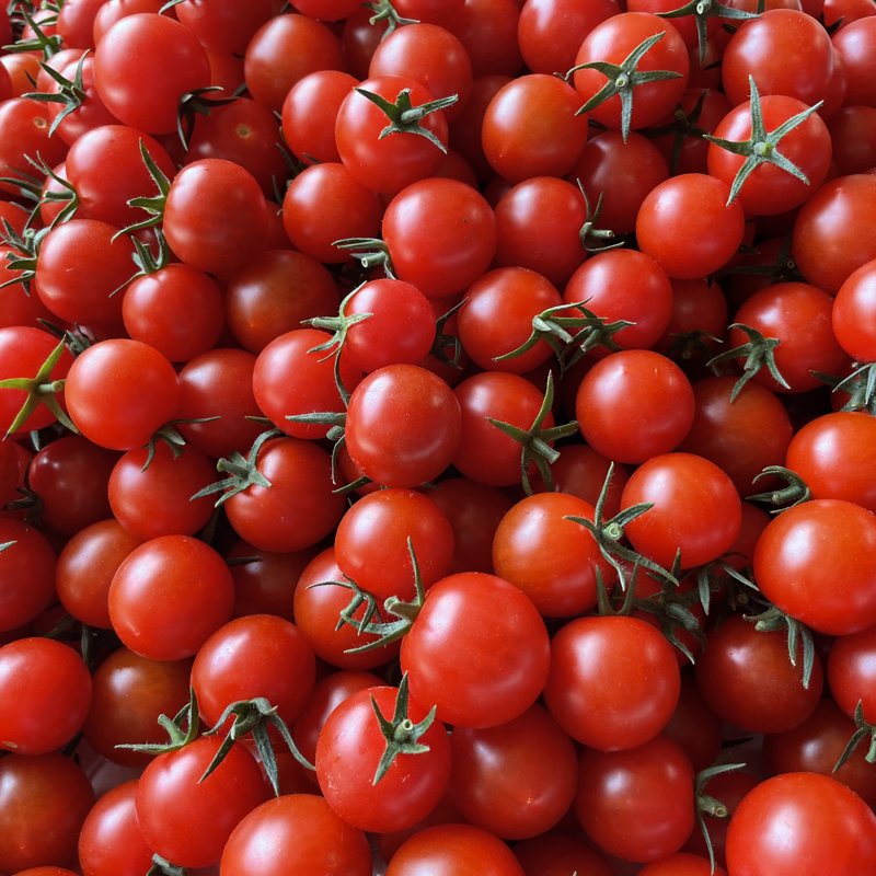 やさいバス/ミニトマトで食卓に笑顔を 【千葉県旭市産】