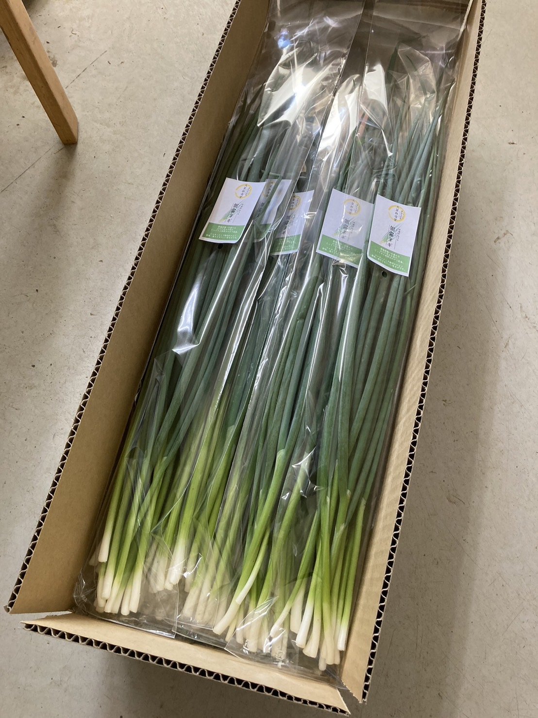 やさいバス/青ネギ