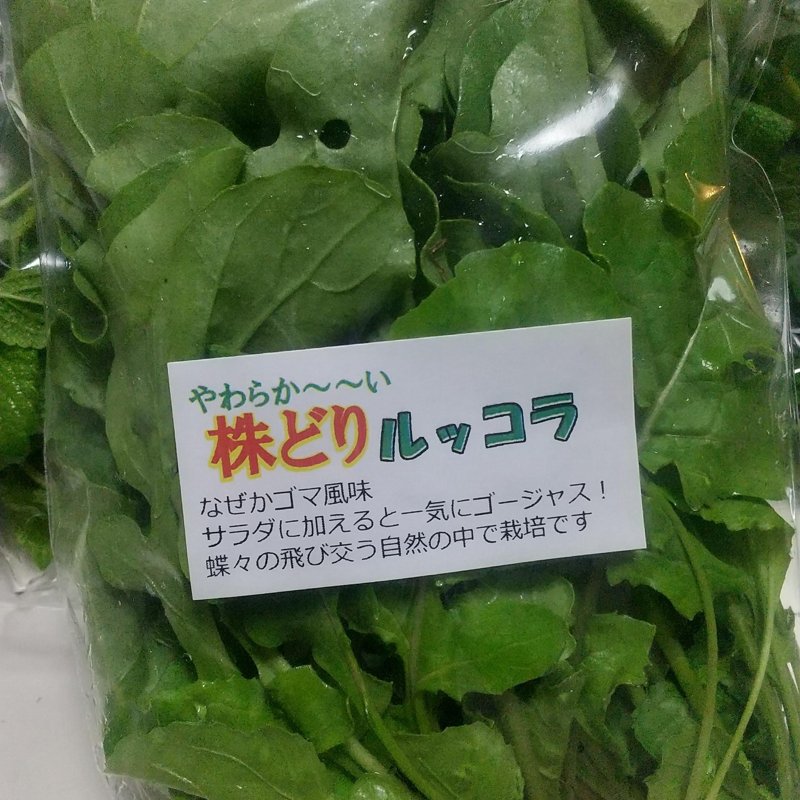 やさいバス/ゴマの香りがするイタリア野菜 ルッコラ 80g