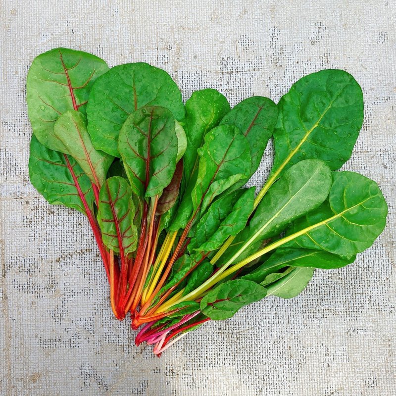 やさいバス/スイスチャードミニサイズ（50g×10パックセット）