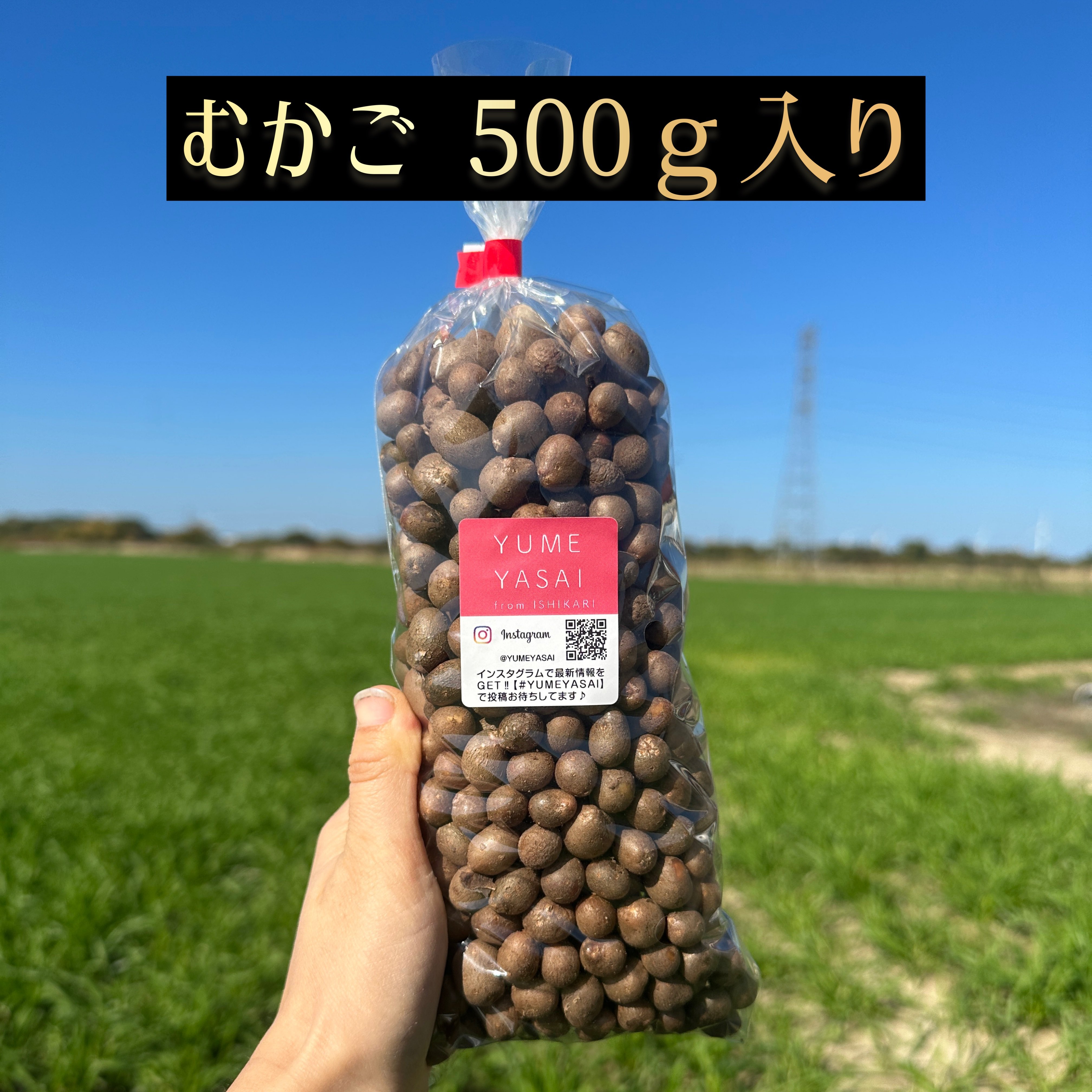 やさいバス/むかご【無選別】500g入り