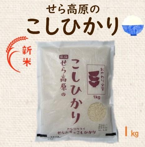 広島県産 世羅産 令和6年 コシヒカリ 令和6年度産新米 世羅産コシヒカリ 5kg（特別栽培米） | 末広米穀