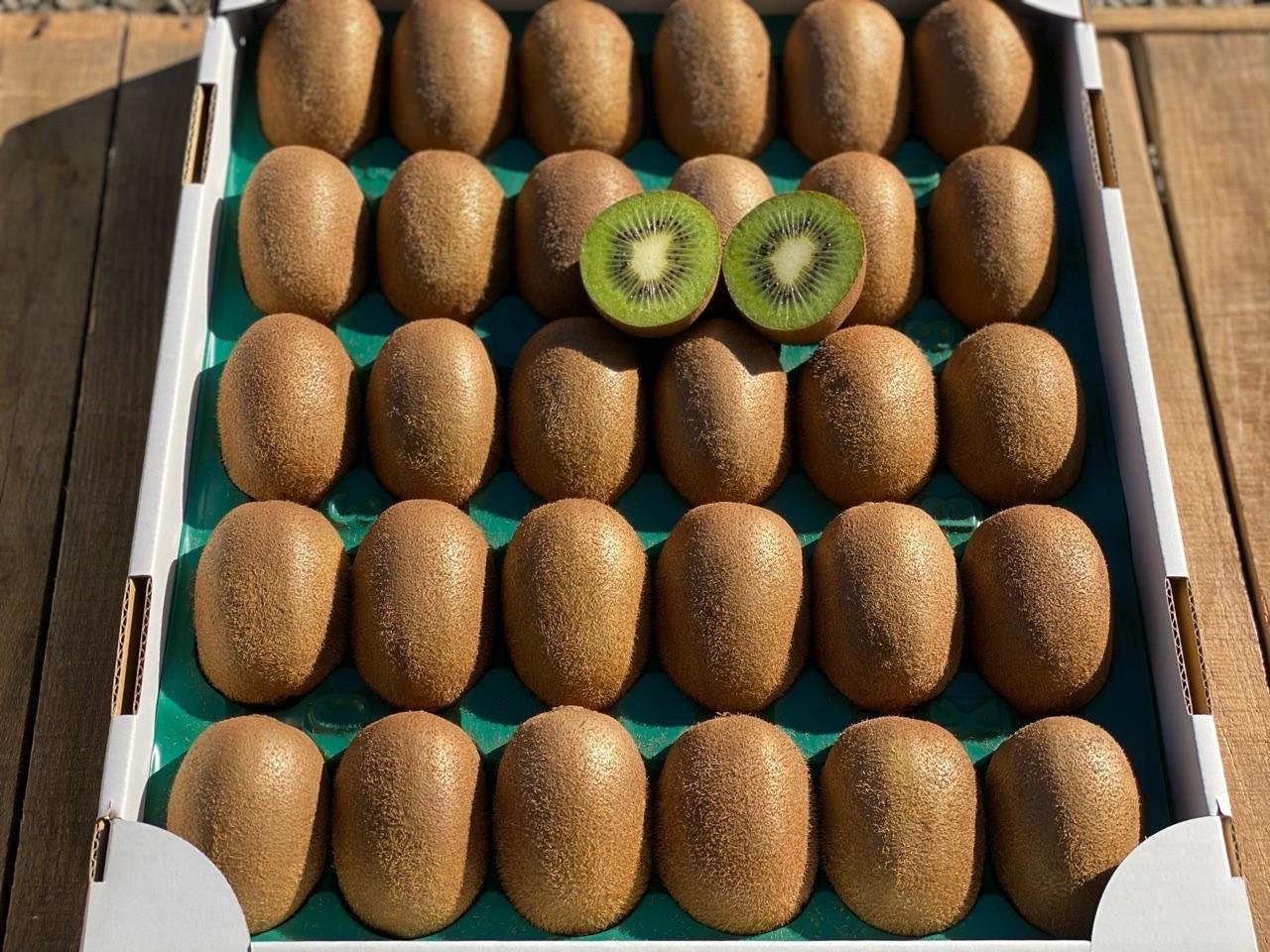 やさいバス/ビタミンいっぱい！グリーンキウイ！(36玉入り)