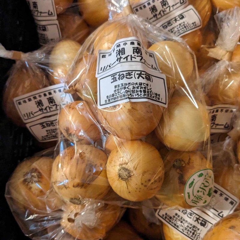 やさいバス/玉ねぎ(大袋)